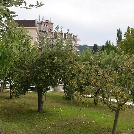 Apartmani Ana Vrdnik Exterior photo