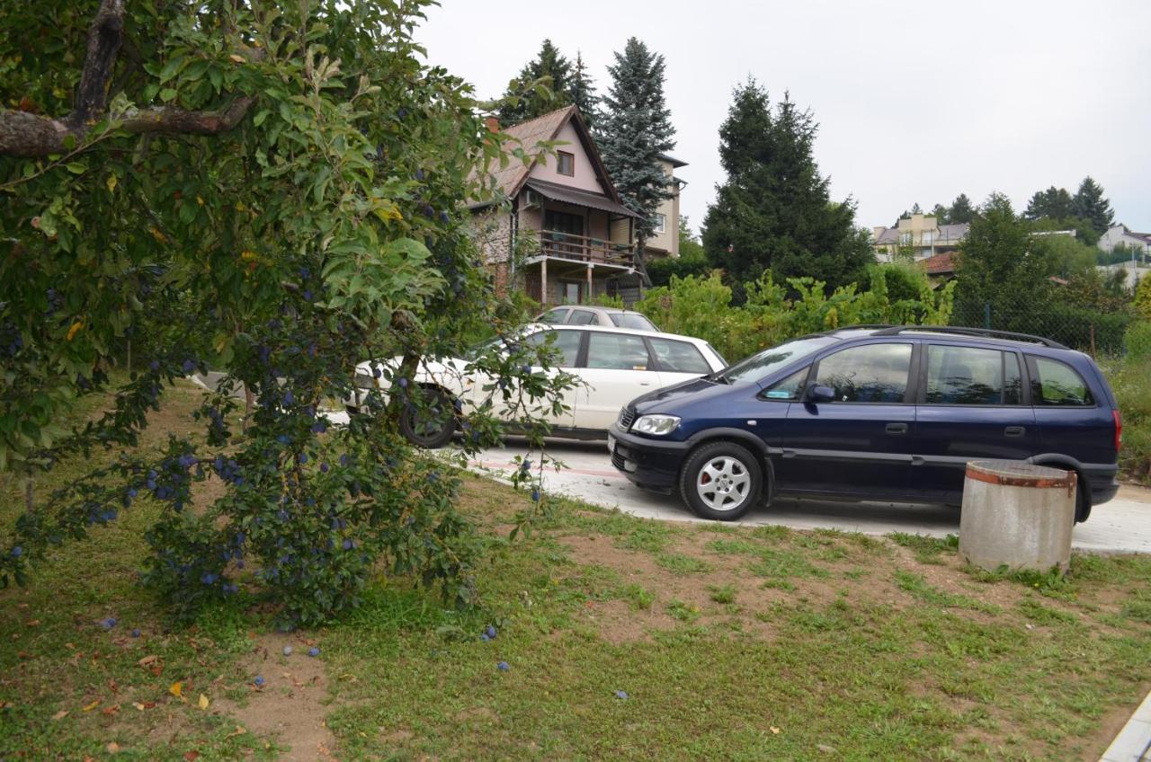 Apartmani Ana Vrdnik Exterior photo