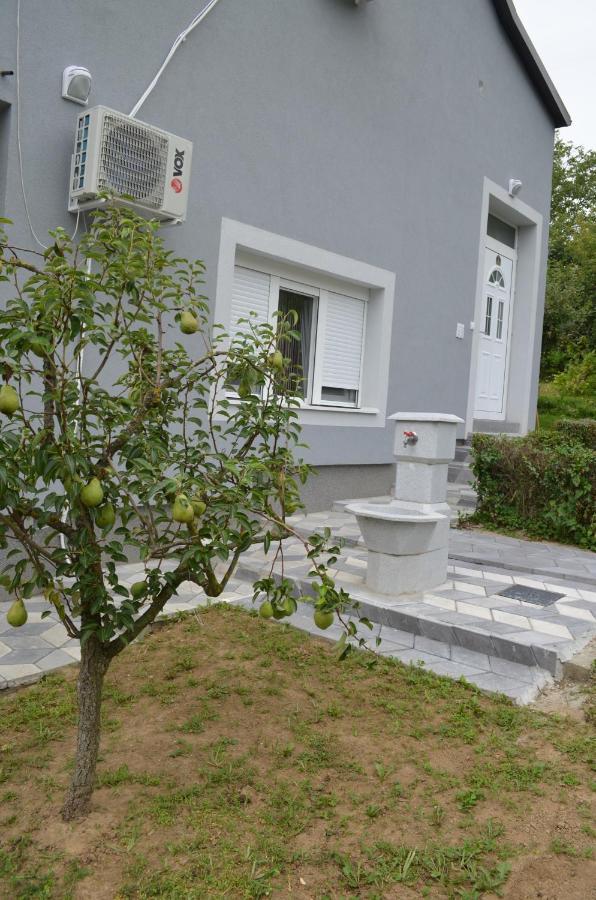 Apartmani Ana Vrdnik Exterior photo